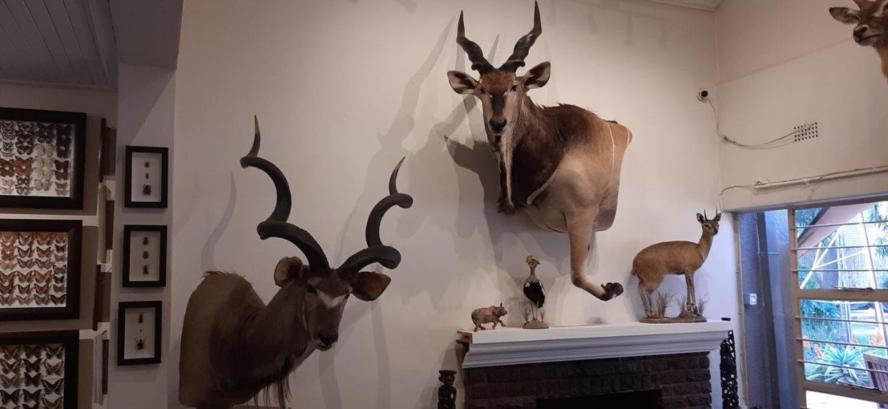 Afton Safari Lodge Kempton Park Bagian luar foto